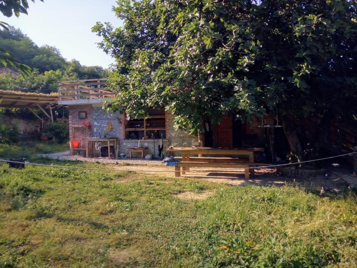The House In The Village Pellumbas Dış mekan fotoğraf