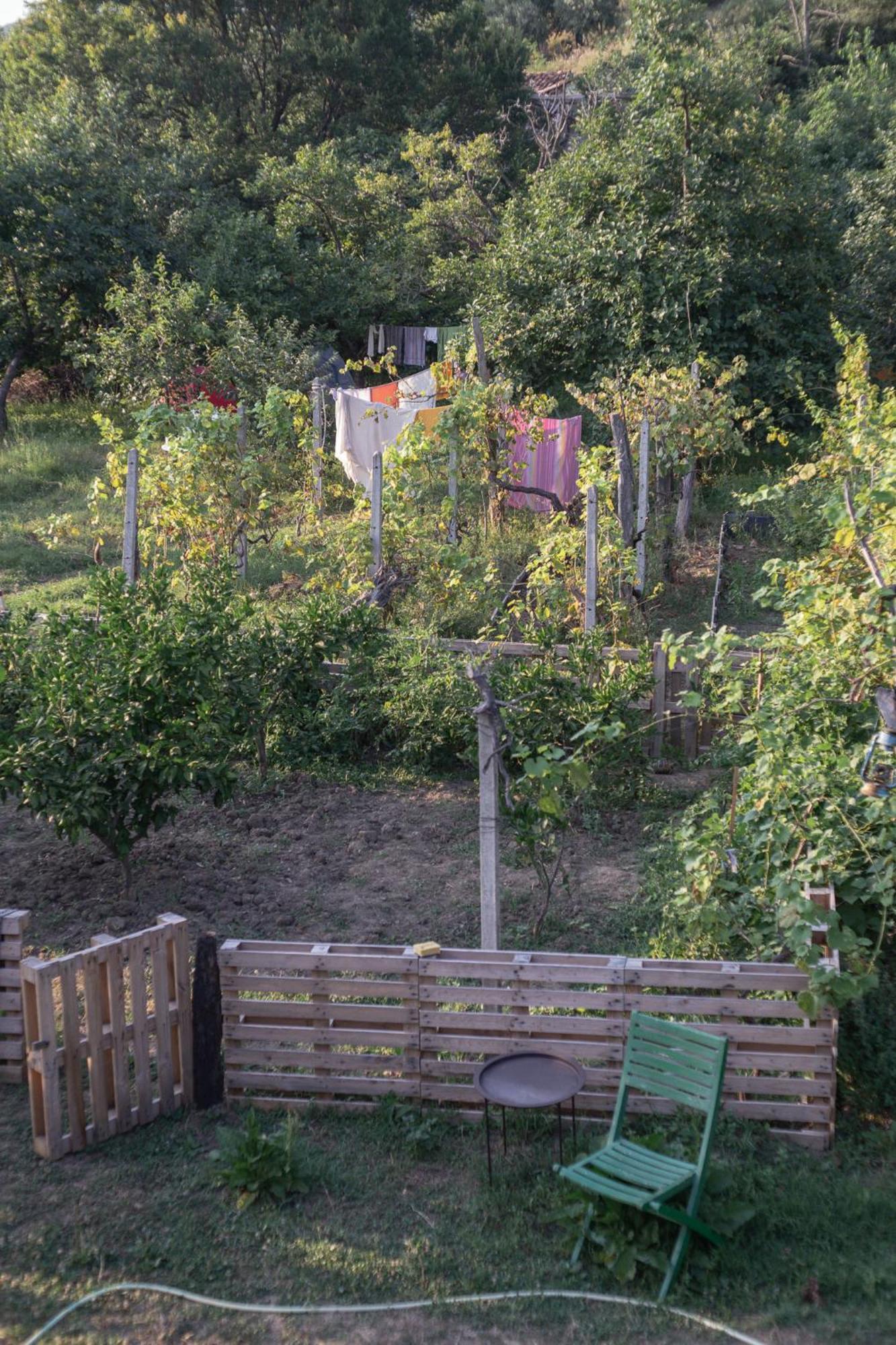 The House In The Village Pellumbas Dış mekan fotoğraf