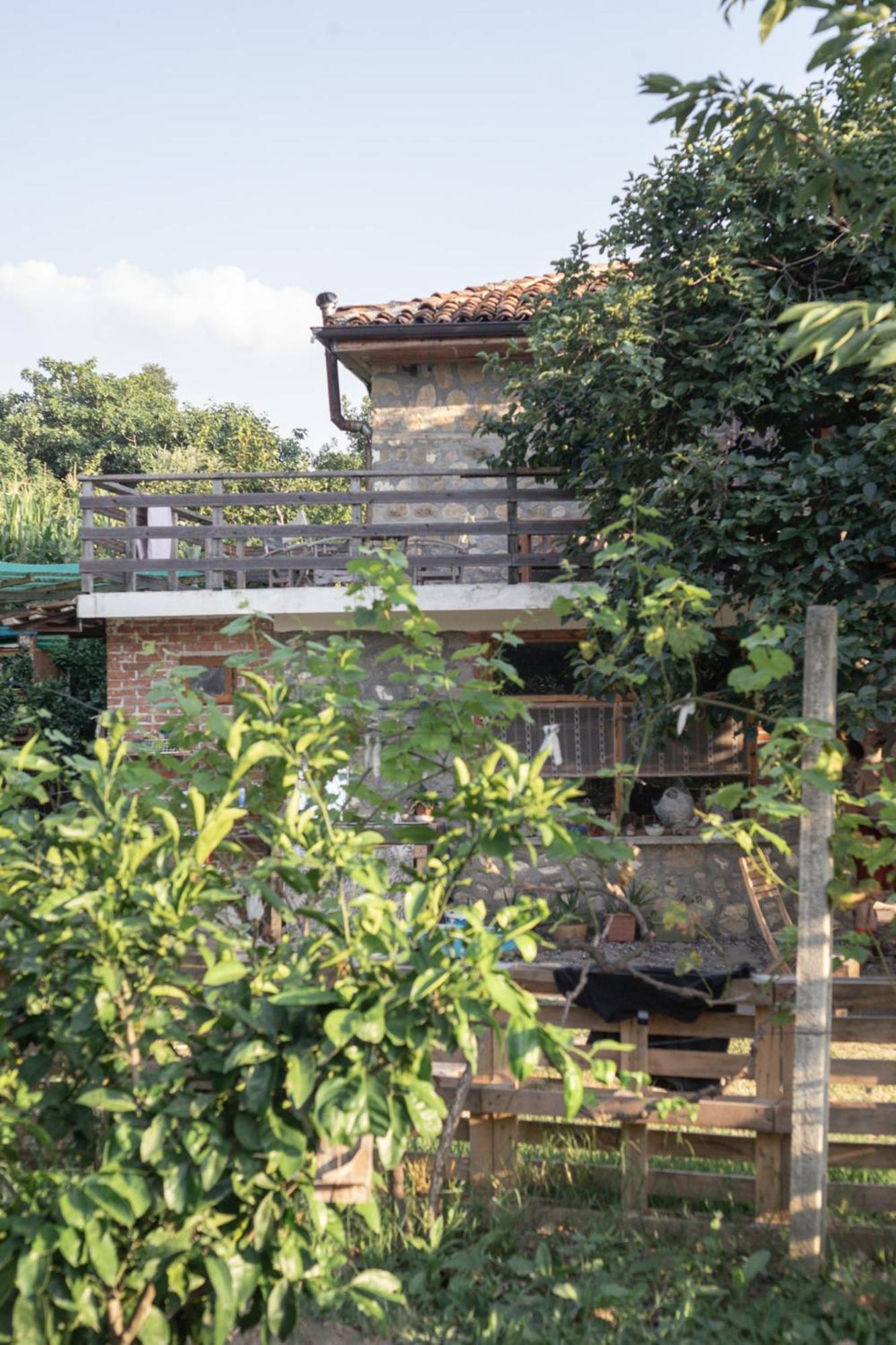 The House In The Village Pellumbas Dış mekan fotoğraf