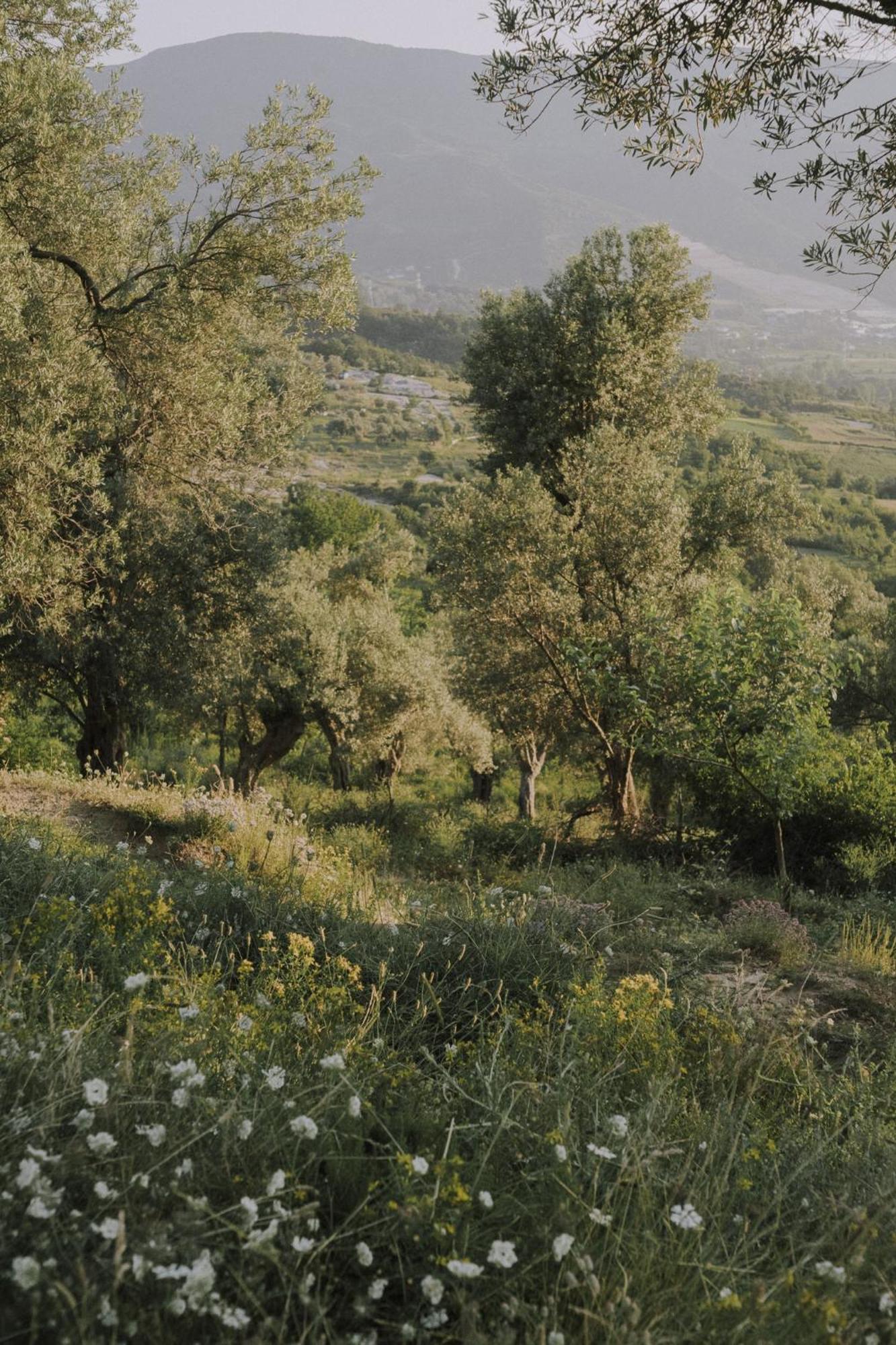 The House In The Village Pellumbas Dış mekan fotoğraf