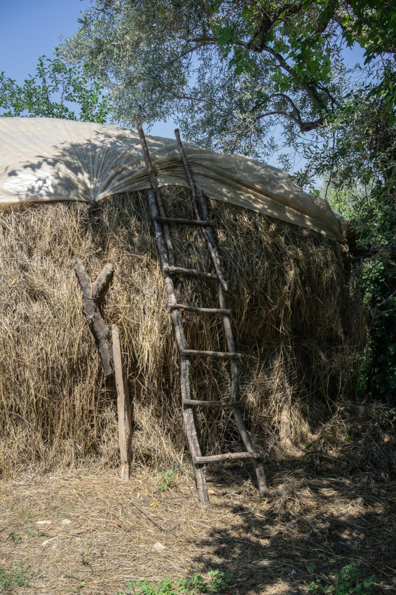 The House In The Village Pellumbas Dış mekan fotoğraf